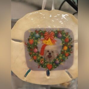 Sand dollars custom made ! This is 12$custom made 25$!